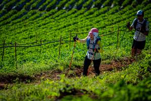 BIB: 
                            <button type="button" onclick="openModal(19161222)" class="btn btn-primary btn-sm float-right btn-popup" data-toggle="modal" data-target=".modal-high-quality">
                        <i class="fas fa-shopping-cart"></i> Add to Cart
                    </button>
                                            <button type="button" onclick="isThisMe(19161222, true)" class="btn btn-success btn-sm float-right btn-popup btn-isme hidden" data-toggle="tooltip" data-placement="bottom" title="นี่คือรูปของคุณใช่ไหม คลิกที่นี่เพื่อเอาเข้าอัลบั้ม">
                        <i class="fas fa-plus"></i> Add to album
                    </button>
                    <button type="button" onclick="isThisMe(19161222, false)" class="btn btn-warning btn-sm float-right btn-popup btn-isnotme hidden">
                        <i class="fas fa-ban"></i> Remove from album
                    </button>